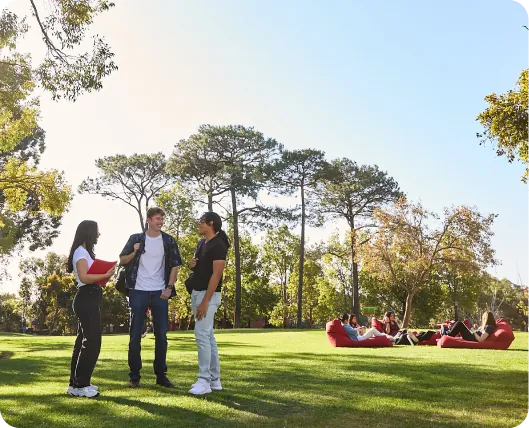 Bolsas e ofertas especiais