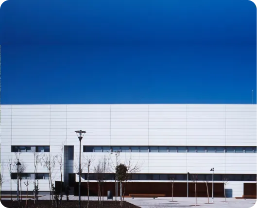 Becas y ofertas especiales