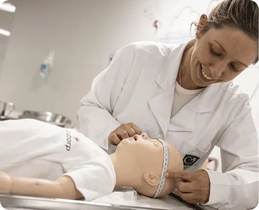 Bolsas e ofertas especiais