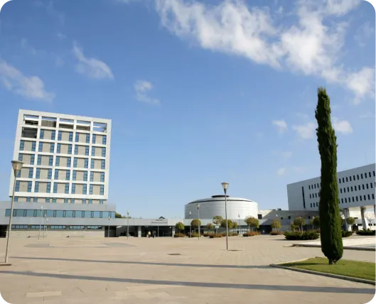 physical/seminars/urjc.meet_universities.image_alt