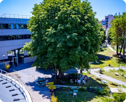 Becas y ofertas especiales Burgundy School of Business